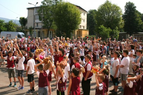 Teddy Bear Project