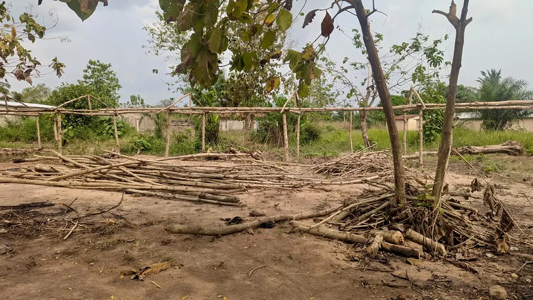 The timber frame of the new SOLE learning room rising on open ground in Amoussoukopé, Togo